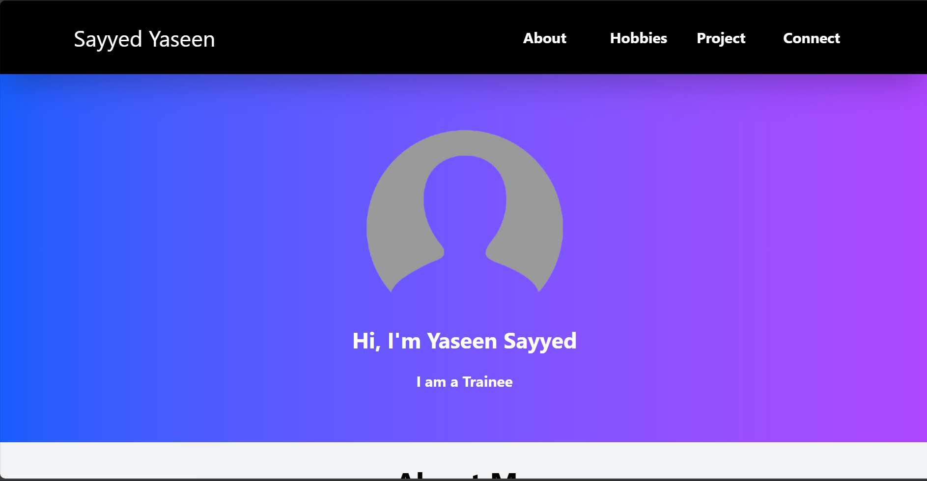 Mini Portfolio Example